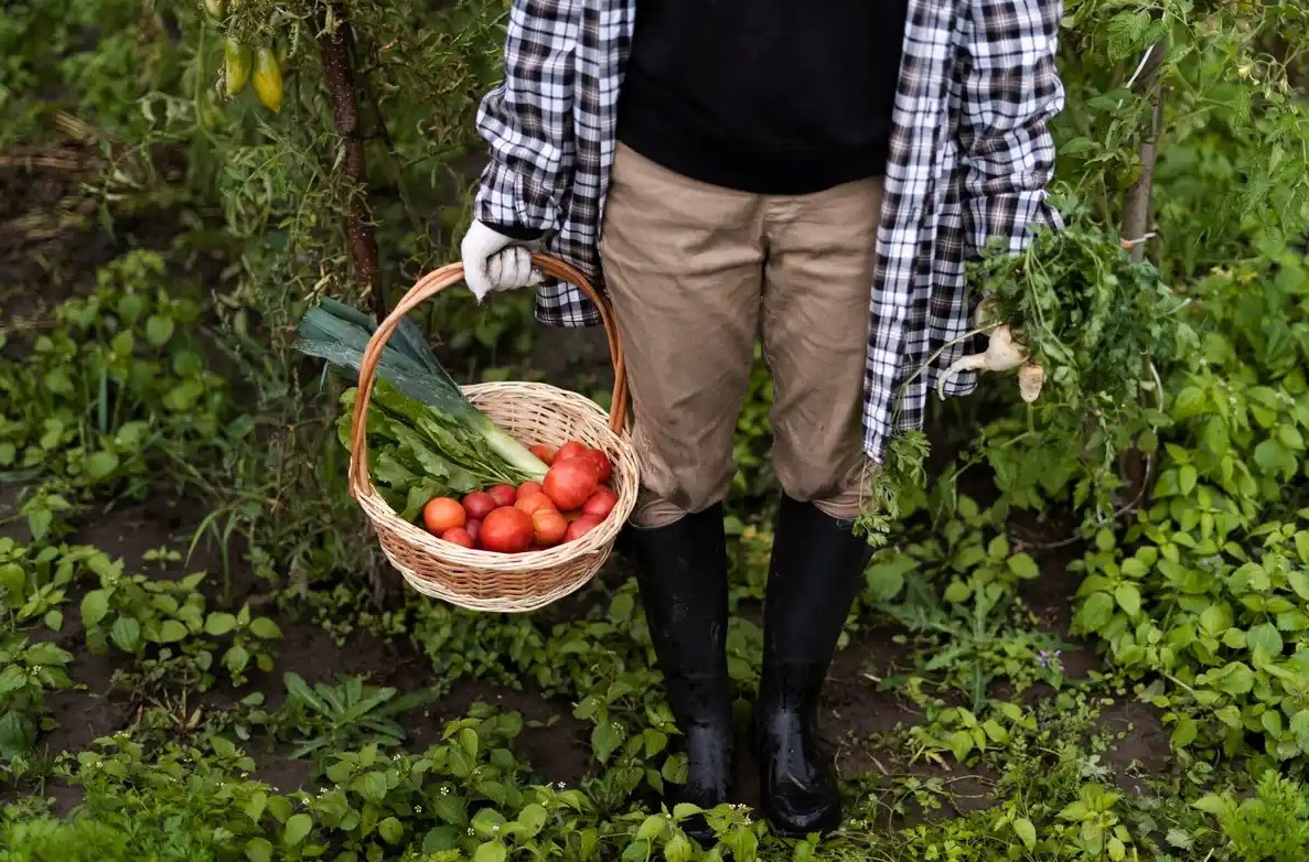 Ekologická záhrada